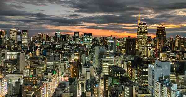 外国语单招大数据的行业文章