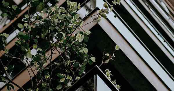 大数据下的工业互联网（大数据下的工业互联网龙头）