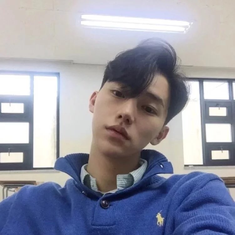 申琼菲伦