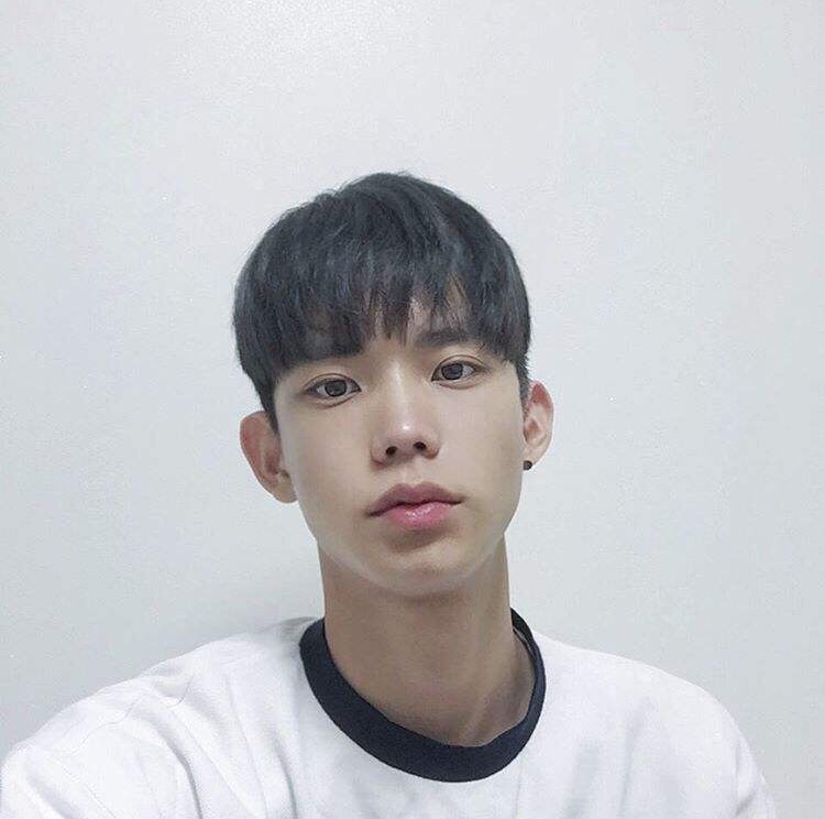 荀炎震宏