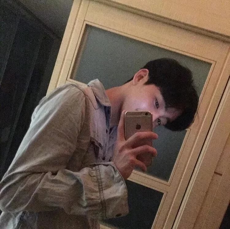文蓝怡树