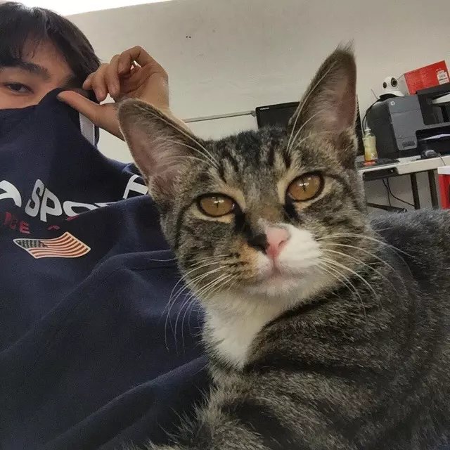 陆林莲羽