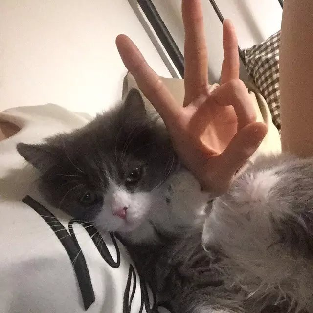 尉迟克豪乐