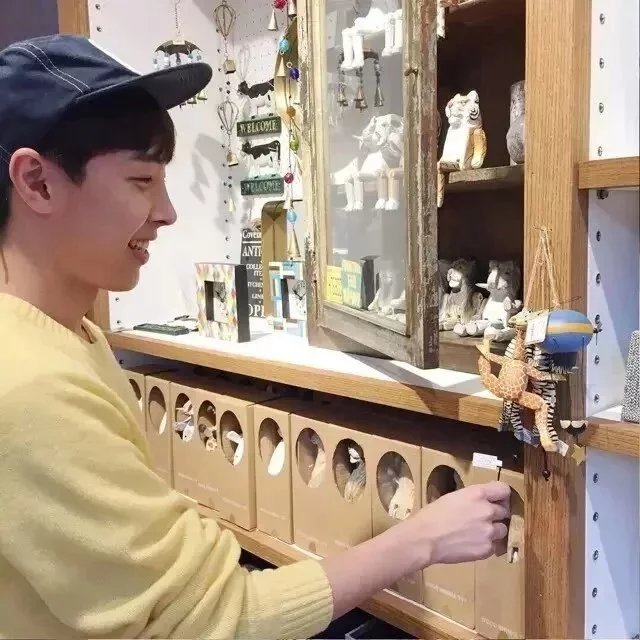 安顺宽蝶