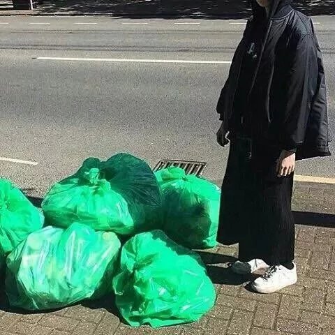 季芸翠飞