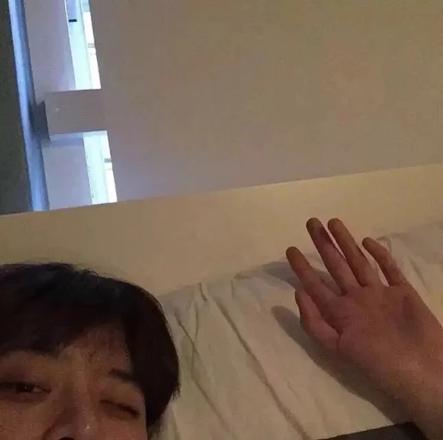 项雄蓝绿