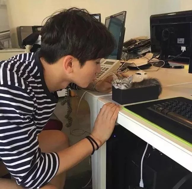 瞿烟慧民